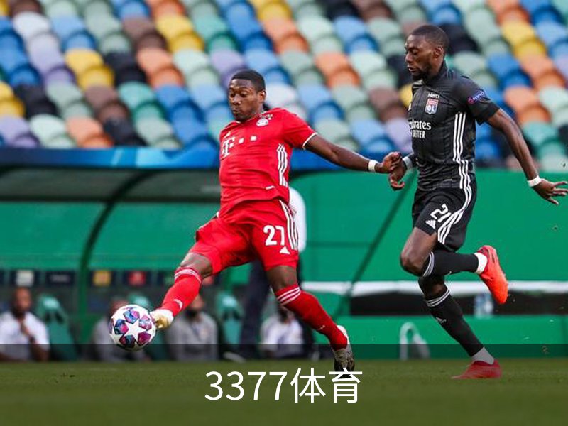 了解3377体育